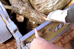 2018-04-14-PHOTO-00000709