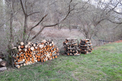 2018-04-14-PHOTO-00000743