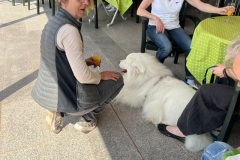 PHOTO-2022-05-08-19-29-26